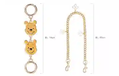 Disney COACH Rowan 22 diy