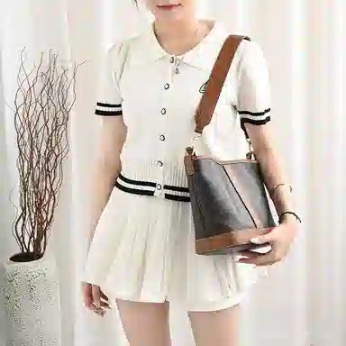 CELINE Triomphe Brown