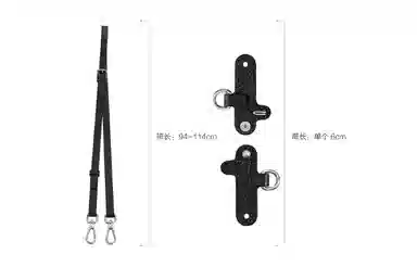 Longchamp Mini Bag Strap Set