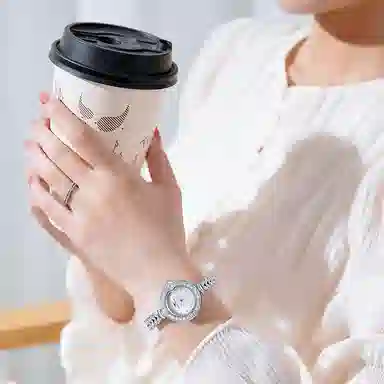 Welly Merck WM121L-1