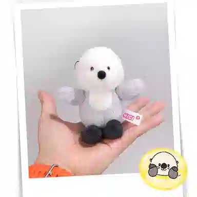 NICI 10cm