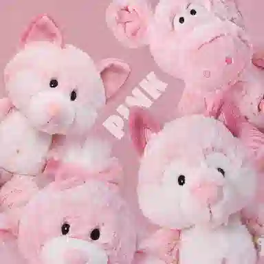NICI 25cm
