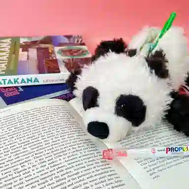 NICI 28cm