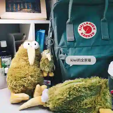 NICI Wild Friends "Kiwi" 35cm