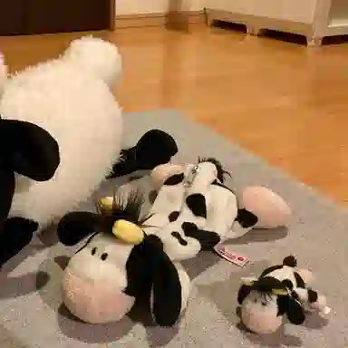 NICI 28cm