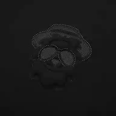 RARE IP