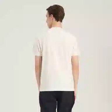 RARE T