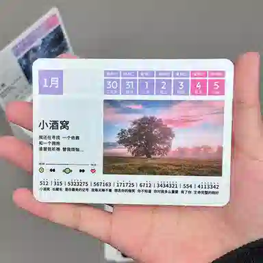 2025 pleasantly surprised52