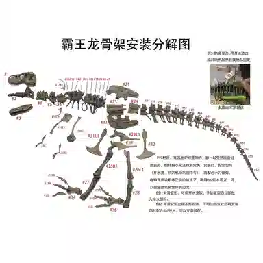 一点潮玩 霸王龙骨架化石 创意仿真 拼装模型