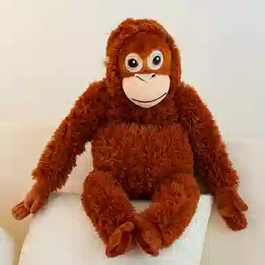 66cm