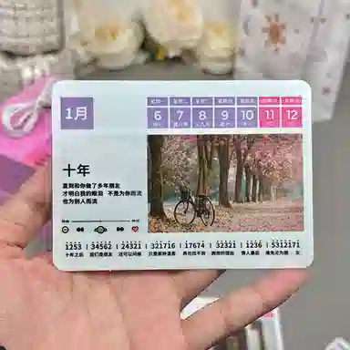 2025 pleasantly surprised52