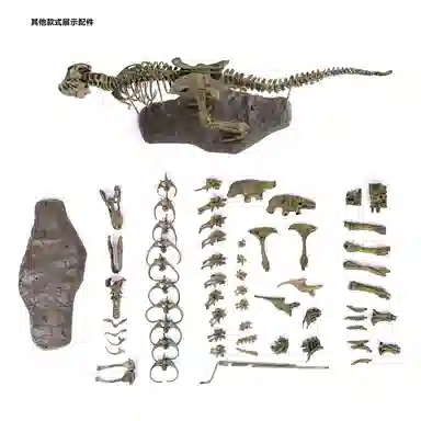 一点潮玩 霸王龙骨架化石 创意仿真 拼装模型