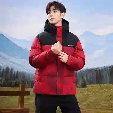 鸭鸭 中青年时尚韩版潮流中国风短款连帽外套山系户外运动休闲加厚保暖迷彩面包羽绒服 男女同款