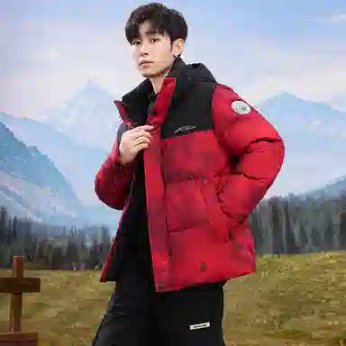 鸭鸭 中青年时尚韩版潮流中国风短款连帽外套山系户外运动休闲加厚保暖迷彩面包羽绒服 男女同款