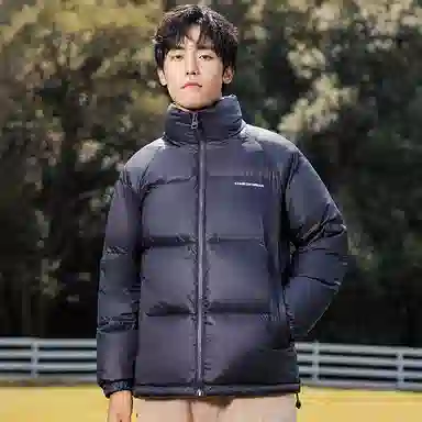 鸭鸭 暖绒系列 青少年基础百搭短款立领户外加厚保暖羽绒服 男款