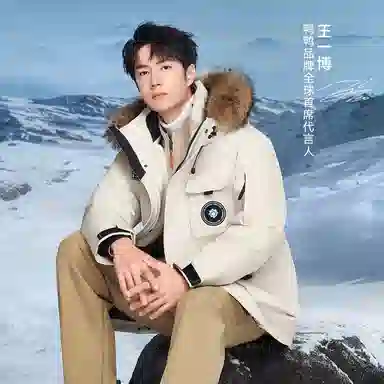 鸭鸭 蓝钻系列 中青年时尚韩版休闲百搭连帽宽松户外运动防寒保暖中长款羽绒服 男女同款