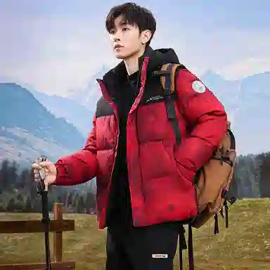 鸭鸭 中青年时尚韩版潮流中国风短款连帽外套山系户外运动休闲加厚保暖迷彩面包羽绒服 男女同款