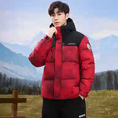 鸭鸭 中青年时尚韩版潮流中国风短款连帽外套山系户外运动休闲加厚保暖迷彩面包羽绒服 男女同款