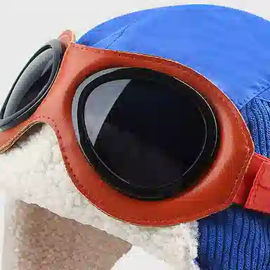 BAGGL