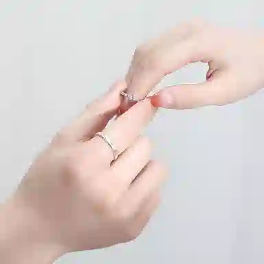 BAGGL