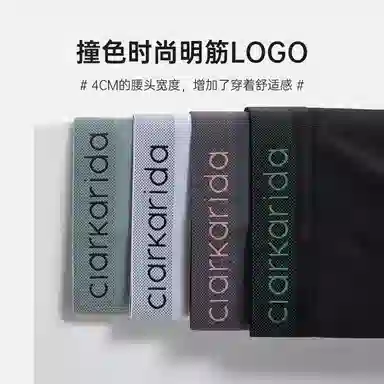 clarkarida 4