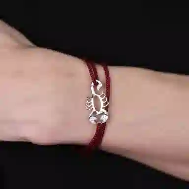 Ruibeila 925