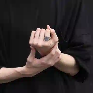 Ruibeila Lion Head 925 Silver Ring