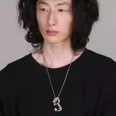 Ruibeila 990