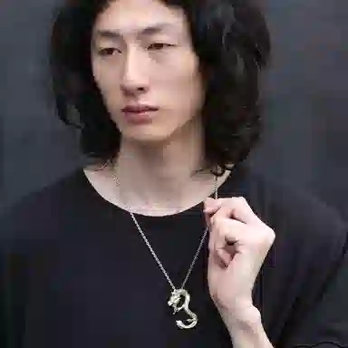 Ruibeila 990
