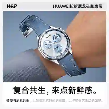 WP + GT543watch446mm