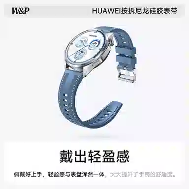 WP + GT543watch446mm