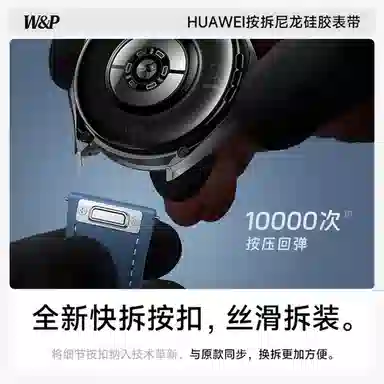 WP + GT543watch446mm