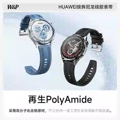 WP + GT543watch446mm