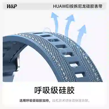 WP + GT543watch446mm