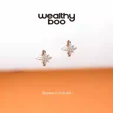 WEALTHYBOO