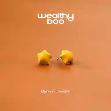 WEALTHYBOO
