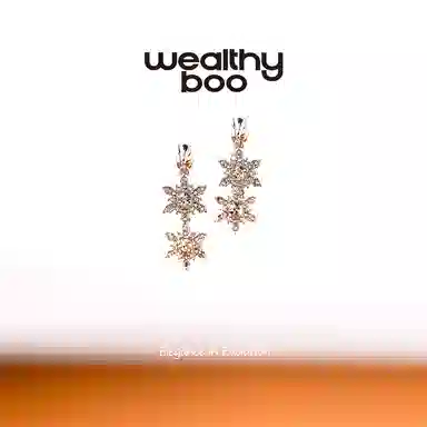 WEALTHYBOO