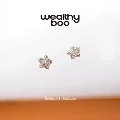 WEALTHYBOO