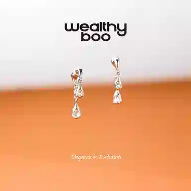 WEALTHYBOO
