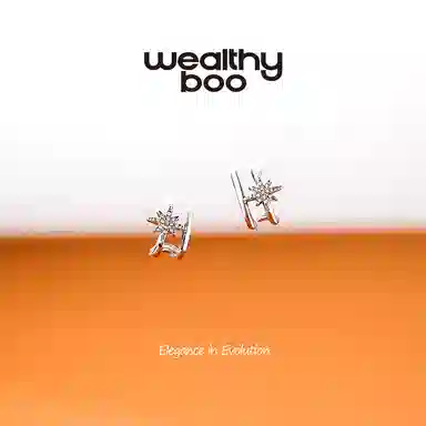 WEALTHYBOO