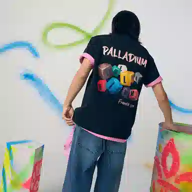 Palladium VINTAGE T
