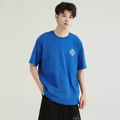 Palladium T
