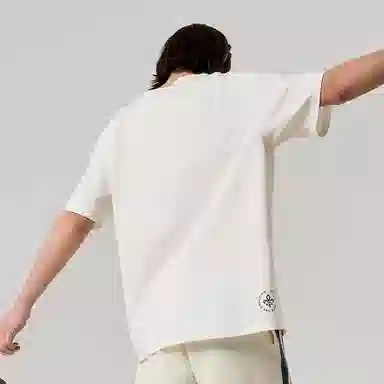 Palladium T