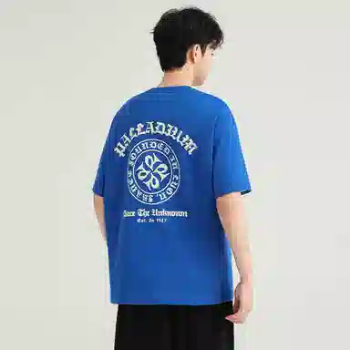Palladium T