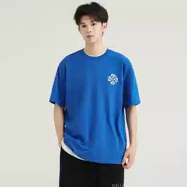 Palladium T
