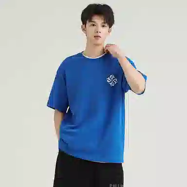 Palladium T