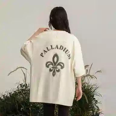 Palladium LogoT
