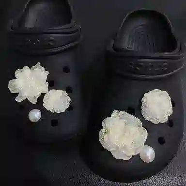US8ACC crocs