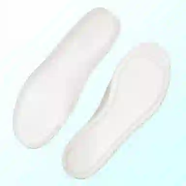 US8ACC Spo Player1Plus Easy1 Game1808Zion3Zoom