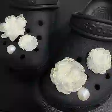 US8ACC crocs